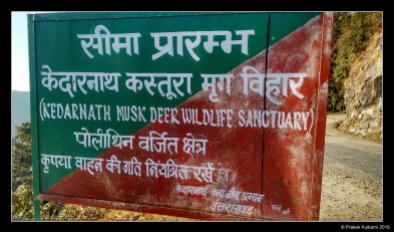Kedarnath Musk Deer Wildlife Sanctuary